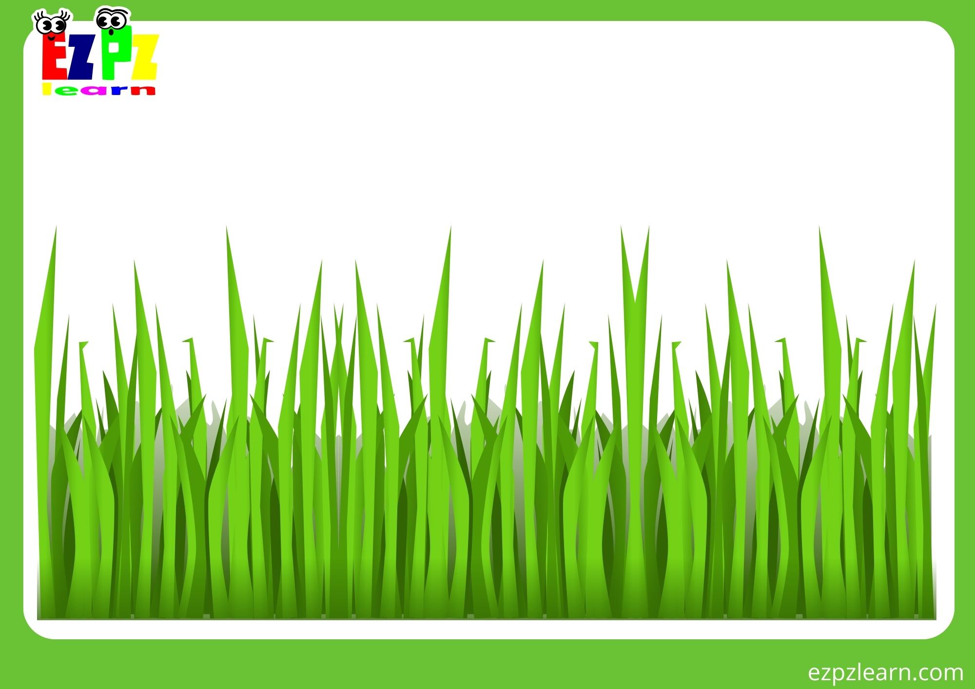 grass